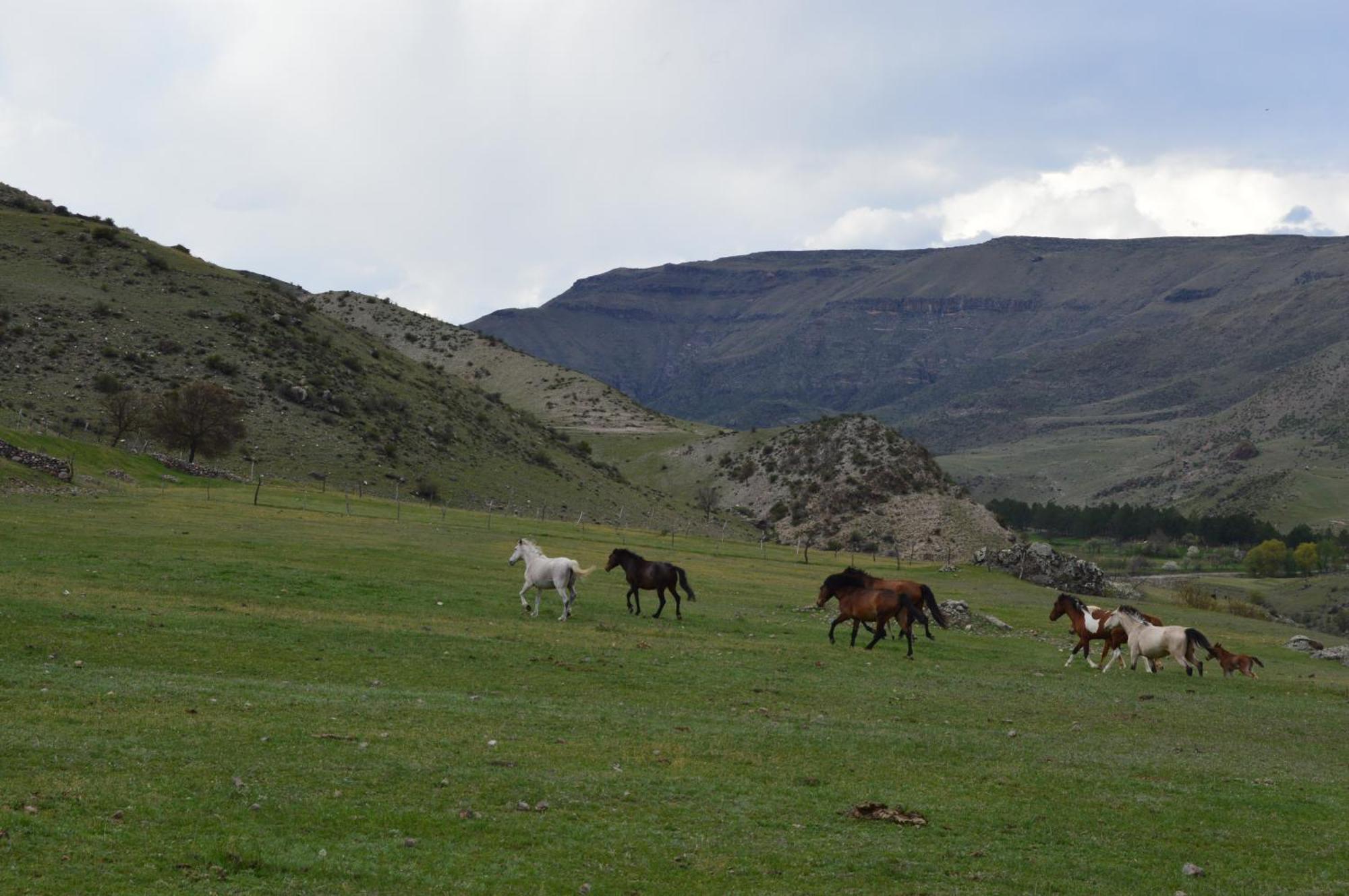 Tirebi Farmhouse Vardzia  Bagian luar foto